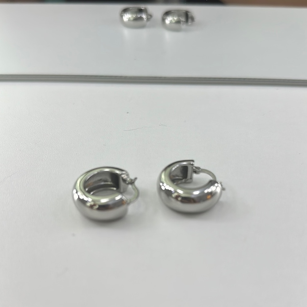 Elegant Silver Hoop Earrings